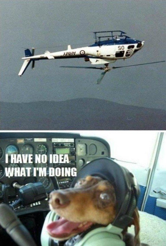no tengo idea de lo que estoy haciendo perro perrito manejando piloteando helicoptero