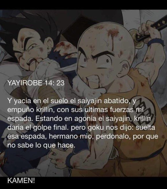 krillin vs vegueta pelea epica goku dijo perdonadlo kamen