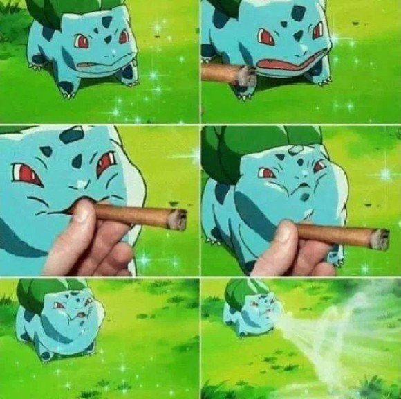 bulbasour fumando pokemon