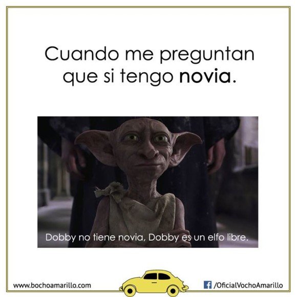 cuando me preguntan si tengo novia dobby elfo libre