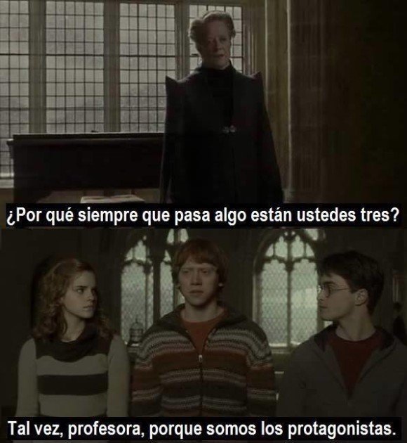 por que somos los protagonistas harry potter