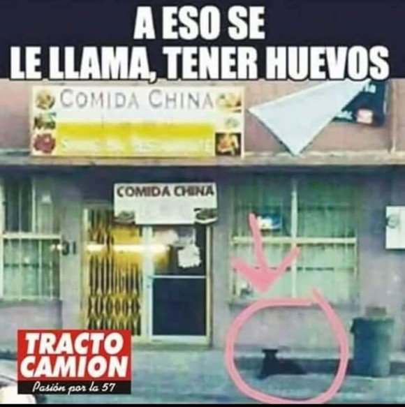 tener valor perro comida china