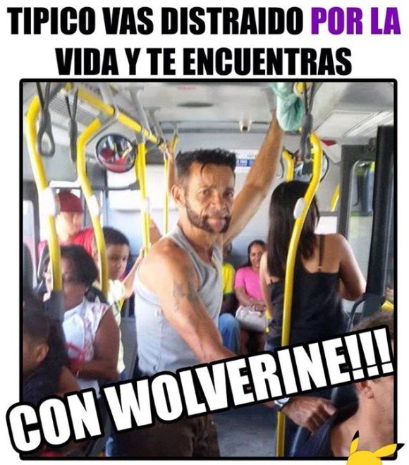 wolverine en el bus memes