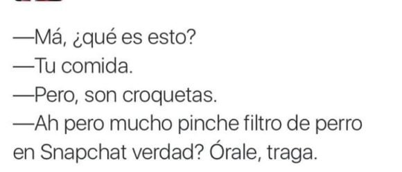 comida croquetas filtro de perro snapchat