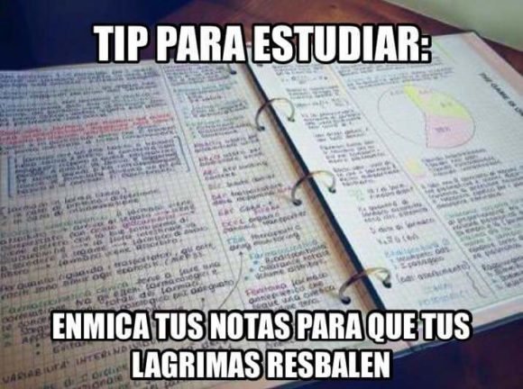 tip para estudiar enmica notas