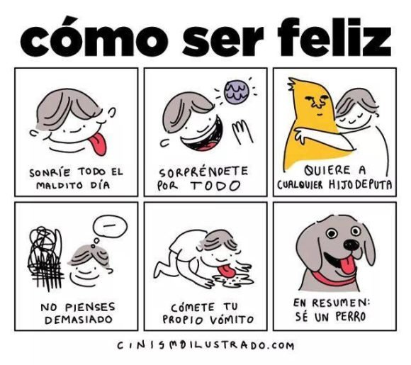 como ser feliz se un perro