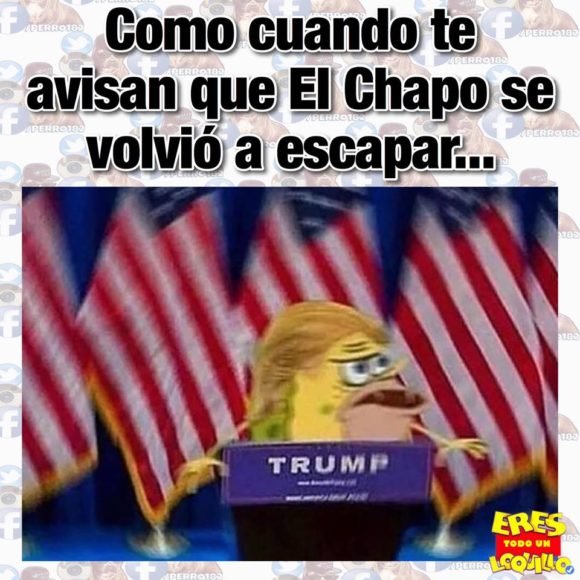 el chapo se volvio a escapar trump