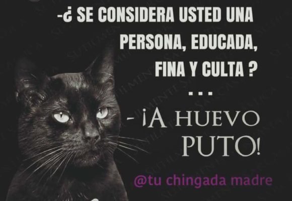 una persona educada fina y culta